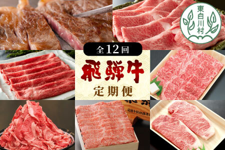 飛騨牛 定期便 全12回 A5等級すき焼き しゃぶしゃぶ ステーキ 焼肉 BBQ ロース カタロース ロースステーキ サーロインステーキ モモ カタ 切り落とし 贅沢 贈り物 12ヶ月 定期 1年 おすすめ 人気 選べる 飛騨 ブランド牛 養老ミート
