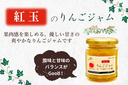 国産紅玉使用！ りんごジャム 3個 180g×3個 果物 フルーツ ジャム りんご 紅玉 リンゴ アップル 東白川村 岐阜 国産 つちのこの村 5500円