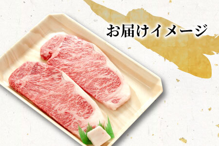 【最短発送】 飛騨牛 サーロインステーキ 400g 200g×2枚 牛肉 和牛 肉 ステーキ 東白川村 岐阜 贅沢 霜降り 養老ミート 25000円