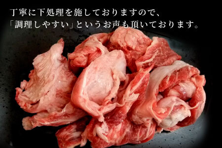  数量限定 飛騨牛 すじ肉 400g A5 A4 国産 牛 冷凍 和牛 牛肉 スジ すじ 牛すじ 牛すじ肉 煮込み用 肉のひぐち