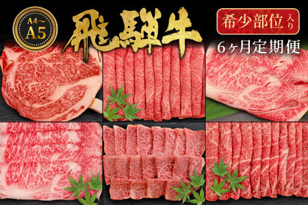 飛騨牛 希少部位 定期便 全6回 計1.86kg 2人前相当 すき焼き しゃぶしゃぶ ステーキ 焼肉 BBQ リブロース ランプ イチボ とも三角 ミスジ  ブランド牛 牛肉 肉 肉のひぐち 【7月発送開始】