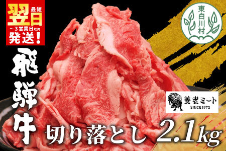 【最短発送】 飛騨牛 切り落とし 2.1kg (700g×3P) 牛肉 和牛 黒毛和牛 牛 訳あり 冷凍 大容量 たっぷり 養老ミート