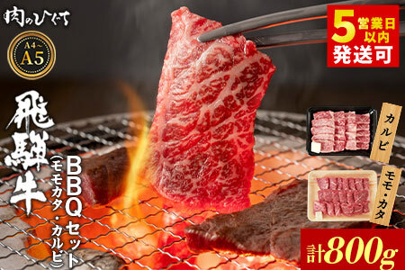 飛騨牛 BBQセット（カルビ・モモカタ） 計800g A5 A4 国産 牛 黒毛和牛 和牛 牛肉 カルビ もも モモ カタ 肩 かた 豪華 ギフト 贈答 肉のひぐち