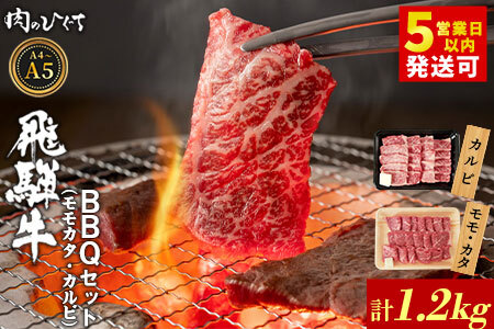 飛騨牛 BBQセット（カルビ・モモカタ） 計1.2kg A5 A4 国産 牛 黒毛和牛 和牛 牛肉 カルビ もも モモ カタ 肩 かた 豪華 ギフト 贈答 肉のひぐち