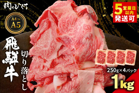 飛騨牛 切り落とし 1kg（250g×4P） A5 A4 国産 牛 黒毛和牛 和牛 牛肉 薄切り 訳あり 牛丼 すき焼き しゃぶしゃぶ 肉のひぐち