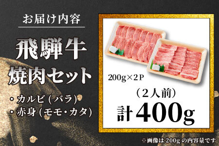 贅沢！ 飛騨牛 焼肉セット 400g 2人前 牛肉 和牛 肉 焼肉 BBQ 霜降り カルビ 赤身 モモ カタ 東白川村 岐阜 養老ミート