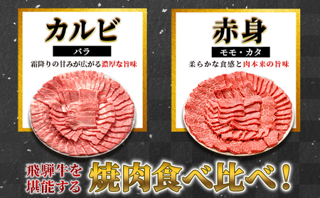 贅沢! 飛騨牛 焼肉セット 800g 4人前 牛肉 和牛 肉 焼肉 BBQ 霜降り カルビ 赤身 モモ カタ 東白川村 岐阜 養老ミート