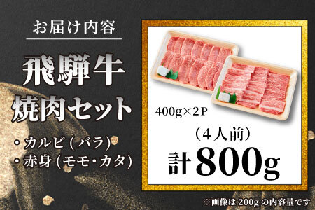 贅沢! 飛騨牛 焼肉セット 800g 4人前 牛肉 和牛 肉 焼肉 BBQ 霜降り カルビ 赤身 モモ カタ 東白川村 岐阜 養老ミート