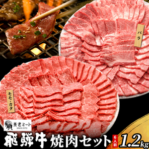 贅沢！ 飛騨牛 焼肉セット 1.2kg 6人前 牛肉 和牛 肉 焼肉 BBQ 霜降り カルビ 赤身 モモ カタ 東白川村 岐阜 養老ミート