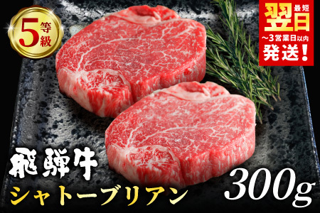 【最短発送】 飛騨牛 最高5等級 シャトーブリアン ステーキ用 300g(150g×2枚) 牛肉 和牛 肉 ステーキ ヒレ フィレ 最高級部位 赤身 肉 牛 牛肉 鉄板焼き お祝い 贈答 ギフト 贈り物 ふるさと納税 東白川村 岐阜 贅沢 霜降り 養老ミート