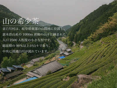 白川茶を3種飲み比べ! 白川茶 詰め合わせセット お茶 煎茶 緑茶 日本茶 茶葉 贈答 ギフト プレゼント 12000円