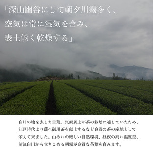 白川茶を3種飲み比べ! 白川茶 詰め合わせセット お茶 煎茶 緑茶 日本茶 茶葉 贈答 ギフト プレゼント 12000円