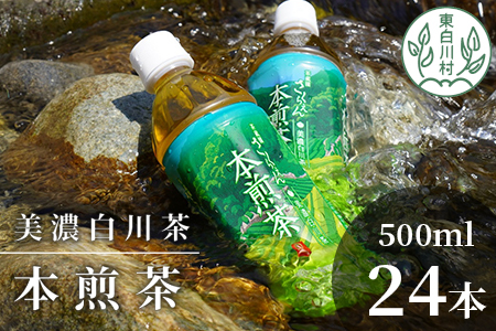 山の希少茶 美濃白川茶 本煎茶ペットボトル 24本 500ml 10000円 一万円