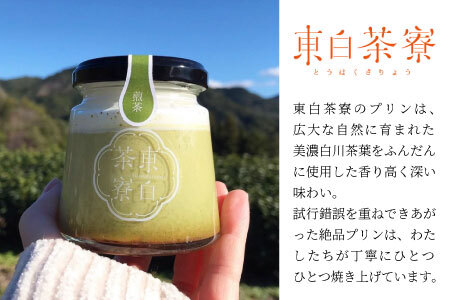 煎茶＆ほうじ茶プリン食べ比べ！ 東白茶寮プリン 「薫」 6個セット 10000円 一万円