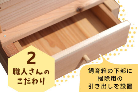 日本ミツバチ用飼育箱 日本 ミツバチ 飼育 巣箱 蜂 蜂蜜 ハチミツ 養蜂 日本ミツバチ 41000円