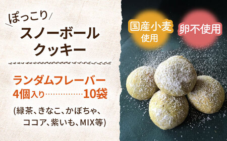 あゆみ館手作りクッキー詰め合わせ [AVAB001]