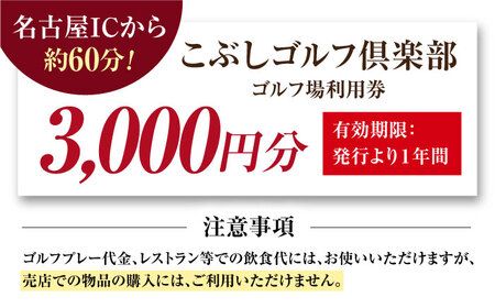 こぶしゴルフ倶楽部 3,000円分 [AVAO001]ゴルフ 利用券 岐阜県 東海