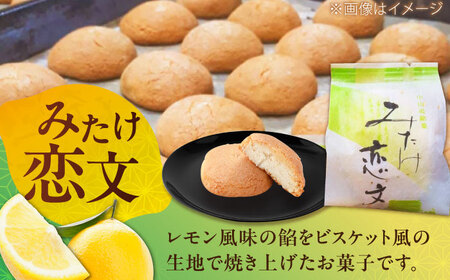 栗すだれ + みたけ恋文 / 和菓子 お菓子 スイーツ  栗 羽二重餅 栗きんとん / 御嵩町 / 御菓子処 長春堂本舗 [AVAC001]