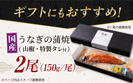 うなぎ蒲焼 2尾  [AVBH005]うなぎかば焼き