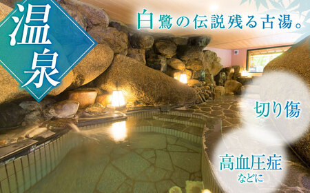 【ミシュランガイド3つ星獲得！】鬼岩温泉 了山・Ryo-an 共通利用券 9,000円分 / 天然温泉 エステ カフェ 食事 温泉 入浴 宿泊 日帰り 温泉利用券 利用券 温泉宿 宿泊券 チケット[AVAH002]