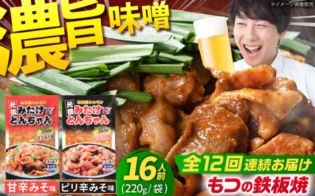 【12回定期便】「元祖みたけとんちゃん」甘辛＆ピリ辛 各4袋（16人前）[AVAA017]ホルモン 定期