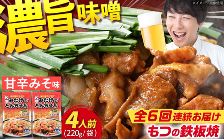 【6回定期便】岐阜県産豚もつの鉄板焼き「元祖みたけとんちゃん」甘辛みそ味（4人前） [AVAA019]豚 定期