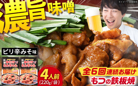 【6回定期便】岐阜県産豚もつの鉄板焼き「元祖みたけとんちゃん」ピリ辛みそ味（4人前） [AVAA025]ホルモン おつまみ