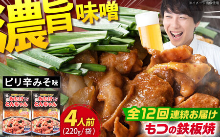 【12回定期便】「元祖みたけとんちゃん」ピリ辛みそ味（4人前）[AVAA026]ホルモン おつまみ