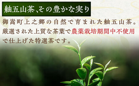 舳五山茶　特選500ｇ / 緑茶 茶葉 茶ば お茶 茶摘み / 御嵩町 / 舳五山茶園委員会[AVAD001]