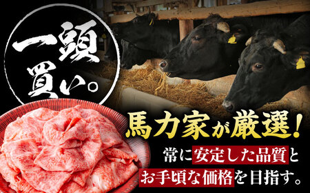 飛騨牛サーロイン・リブロース 400g×1パック すき焼きしゃぶしゃぶ用肉 [AVBO001]