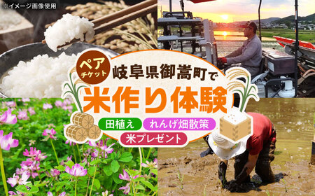 田植え体験 ＆ れんげ畑散策 ペアチケット/田植え 体験 お米 米 ペア/御嵩町/株式会社アオキ[AVBN001]