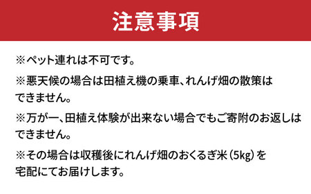 田植え体験 ＆ れんげ畑散策 ペアチケット/田植え 体験 お米 米 ペア/御嵩町/株式会社アオキ[AVBN001]