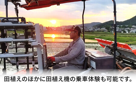 田植え体験 ＆ れんげ畑散策 ペアチケット/田植え 体験 お米 米 ペア/御嵩町/株式会社アオキ[AVBN001]