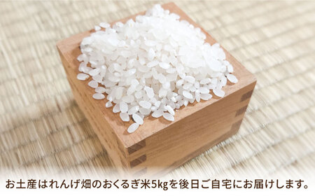 田植え体験 ＆ れんげ畑散策 ペアチケット/田植え 体験 お米 米 ペア/御嵩町/株式会社アオキ[AVBN001]