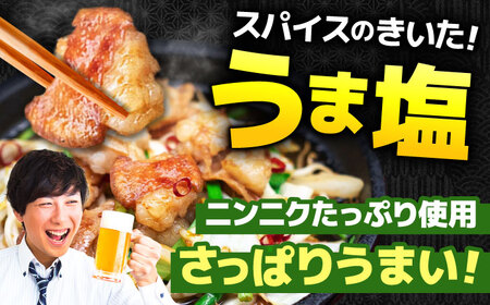 岐阜県産豚もつの鉄板焼き「元祖みたけとんちゃん」豚塩味（8人前）[AVAA039]ホルモン 塩