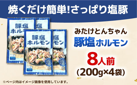 岐阜県産豚もつの鉄板焼き「元祖みたけとんちゃん」豚塩味（8人前）[AVAA039]ホルモン 塩