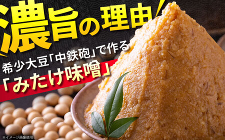 岐阜県産豚もつの鉄板焼き「元祖みたけとんちゃん」甘辛みそ味（16人前