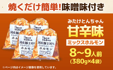 「元祖みたけとんちゃん」 昔ながらのミックスホルモン 4袋[AVAA049]レバー ミックス