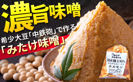 「元祖みたけとんちゃん」ミックスホルモン 2種セット（4人前）[AVAA050]ホルモン おかず