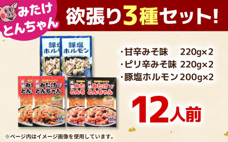 「元祖みたけとんちゃん」 3種セット（12人前）[AVAA057]ホルモン 食べ比べ