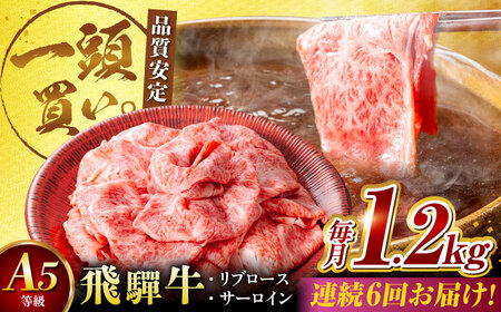 【6回定期便】飛騨牛サーロイン・リブロース 1.2kg(400g×3パック) すき焼きしゃぶしゃぶ用肉 [AVBO028] カルビ 牛肉