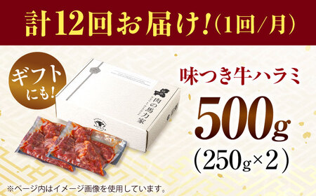 【12回定期便】【訳あり】味付けハラミ 500ｇ(250ｇ×2パック) [AVBO041]