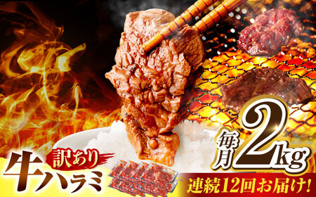 【12回定期便】【訳あり】味付けハラミ 2kg(250ｇ×8パック) [AVBO050]