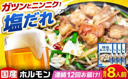 【12回定期便】岐阜県産豚もつの鉄板焼き「元祖みたけとんちゃん」豚塩味（8人前）[AVAA063]豚 定期