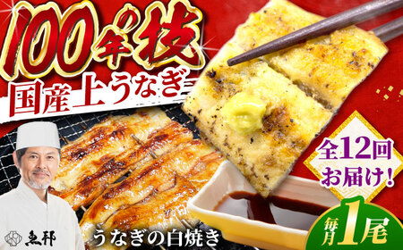 【12回定期便】国産 上うなぎ 白焼き 1尾 約150g / 鰻 ウナギ うなぎ 白焼き / 御嵩町 / 鰻 季節料理 魚邦[AVBH026]