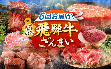 【6回定期便】肉のキング 飛騨牛満喫セット / 飛騨牛 サーロイン ステーキ 肉 詰め合わせ セット 岐阜県 / 御嵩町 / 肉のキング[AVAG020]
