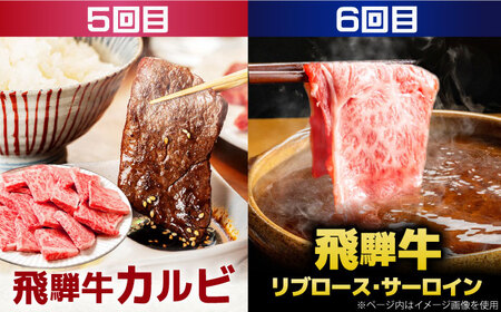 【6回定期便】馬力家セレクト 食卓ごちそう便 (お二人様向けコース) / ハンバーグ 牛タン 肉 詰め合わせ セット 飛騨牛 御嵩町 / 馬力家[AVBO072]