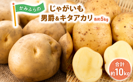 【令和8年産】かみふらのじゃがいも「男爵5kg & キタアカリ5kg」 野菜 旬の野菜 北海道産 北海道野菜 国産 国産野菜 グルメ 食材 ポテト 北海道産じゃがいも 