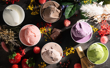 ≪12ヵ月定期便≫gelatrip's selection ジェラート24個BOX 