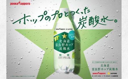 北海道 定期便 12ヵ月 連続 全12回 炭酸水 500ml × 24本 北海道富良野ホップ炭酸水 ポッカサッポロ 無糖 北海道富良野ホップ ペットボトル 炭酸飲料 炭酸 ソーダ ソーダ水飲料 ドリンク (有)リカーショップかまだ 上富良野町